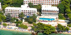 aurora_podgora.jpg